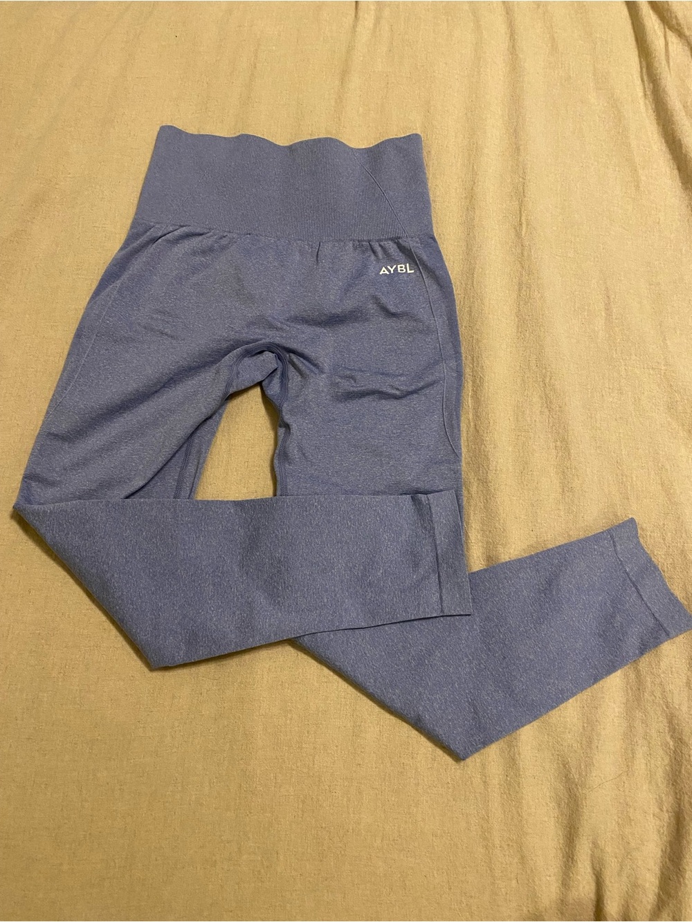 AYBL Empower Seamless Leggings